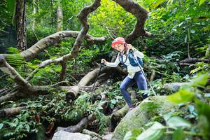 BIB: 
                            <button type="button" onclick="openModal(19407798)" class="btn btn-primary btn-sm float-right btn-popup" data-toggle="modal" data-target=".modal-high-quality">
                        <i class="fas fa-shopping-cart"></i> Add to Cart
                    </button>
                                            <button type="button" onclick="isThisMe(19407798, true)" class="btn btn-success btn-sm float-right btn-popup btn-isme hidden" data-toggle="tooltip" data-placement="bottom" title="นี่คือรูปของคุณใช่ไหม คลิกที่นี่เพื่อเอาเข้าอัลบั้ม">
                        <i class="fas fa-plus"></i> Add to album
                    </button>
                    <button type="button" onclick="isThisMe(19407798, false)" class="btn btn-warning btn-sm float-right btn-popup btn-isnotme hidden">
                        <i class="fas fa-ban"></i> Remove from album
                    </button>